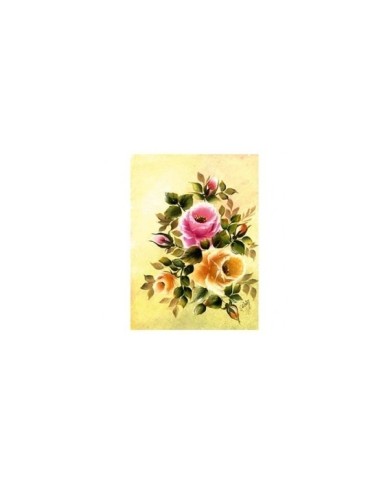 Gülsün Ülkü 17*25 G-12