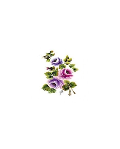 Gülsün Ülkü 17*25 G-14