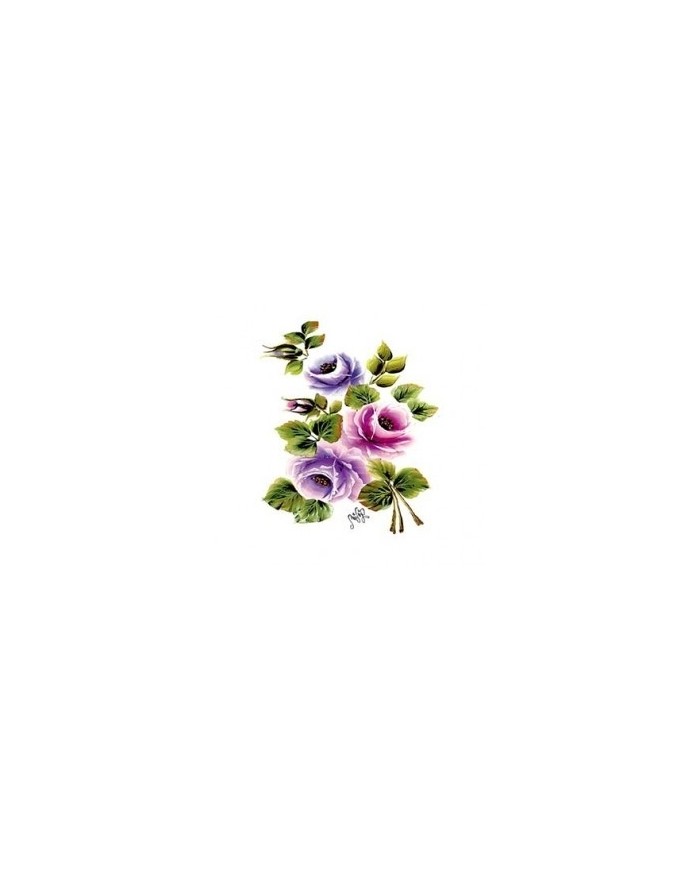 Gülsün Ülkü 17*25 G-14