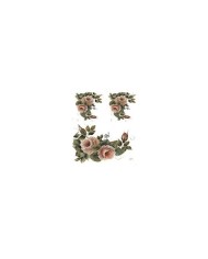 Gülsün Ülkü 17*25 G-15