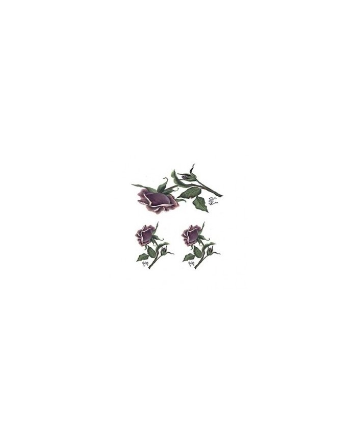 Gülsün Ülkü 17*25 G-18