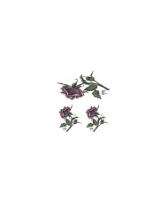 Gülsün Ülkü 17*25 G-18