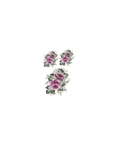 Gülsün Ülkü 17*25 G-21