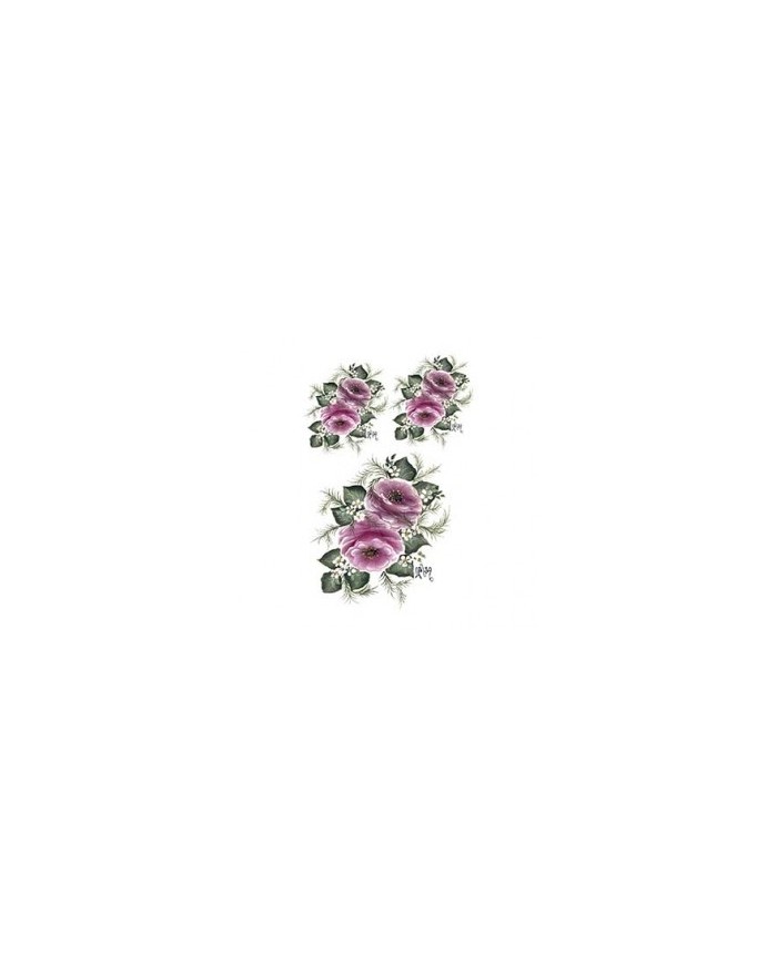 Gülsün Ülkü 17*25 G-21