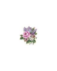 Gülsün Ülkü 17*25 G-23
