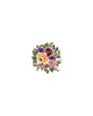 Gülsün Ülkü 17*25 G-26