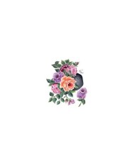 Gülsün Ülkü 17*25 G-32