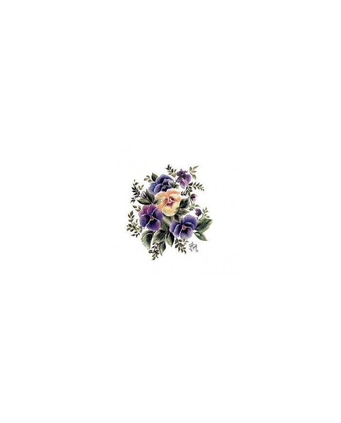 Gülsün Ülkü 17*25 G-36