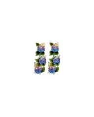 Gülsün Ülkü 17*25 G-41