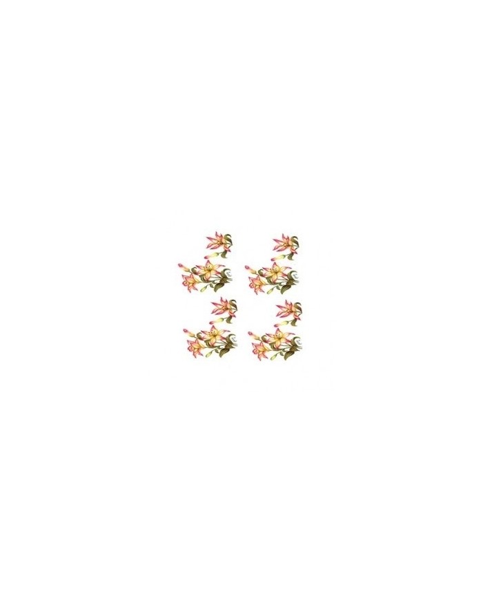Gülsün Ülkü 17*25 G-46