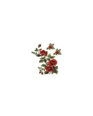 Gülsün Ülkü 17*25 G-93