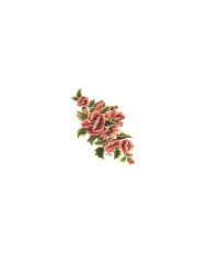 Gülsün Ülkü 17*25 G-94