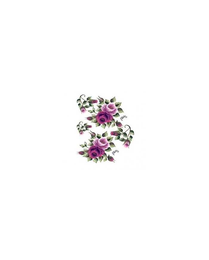 Gülsün Ülkü 17*25 G-110