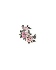 Gülsün Ülkü 17*25 G-160