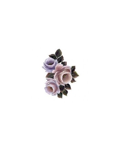 Gülsün Ülkü 17*25 G-162