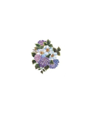 Gülsün Ülkü 17*25 G-163