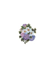 Gülsün Ülkü 17*25 G-163
