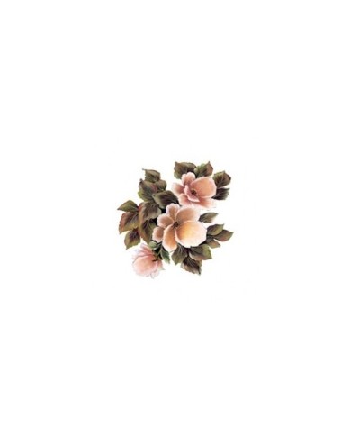 Gülsün Ülkü 17*25 G-164