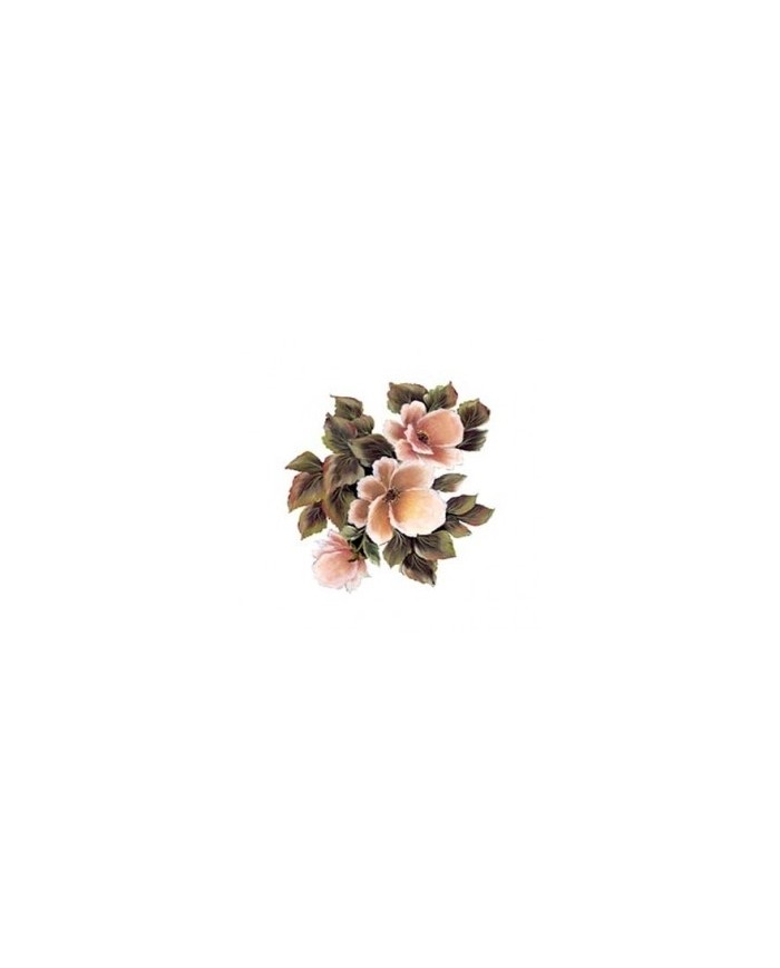 Gülsün Ülkü 17*25 G-164