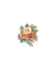 Gülsün Ülkü 25*35 G-54