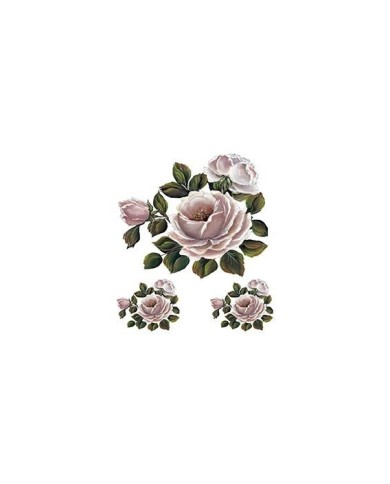 Gülsün Ülkü 25*35 G-84