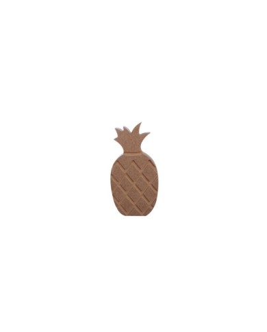 F35 AYAKTA DURAN ANANAS