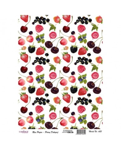 PİRİNÇ DEKOPAJ 29*42 CM MODEL 623