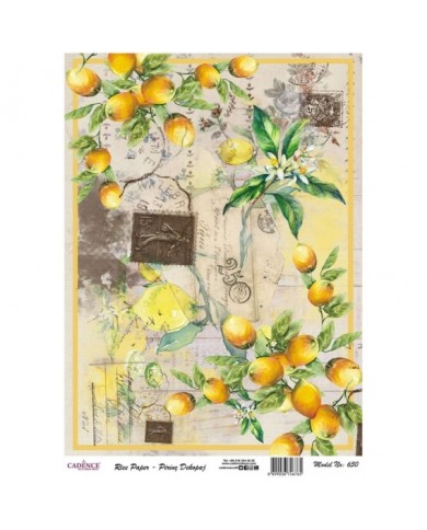 PİRİNÇ DEKOPAJ 29*42 CM MODEL 650