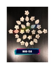 Minyatür Mine Çiçeği MNB-158