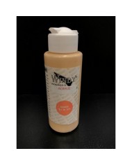 WİNDY AKRİLİK BOYA - SOMON 70 ML