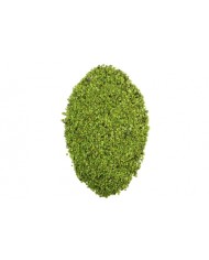 Epoksi Reçine Süsleme Deniz Kumu Yeşil 100 gr