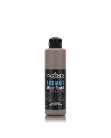 AW17 Vizon Ambiante Islak Zemin Boyası 250ML + Katalizör 10GR