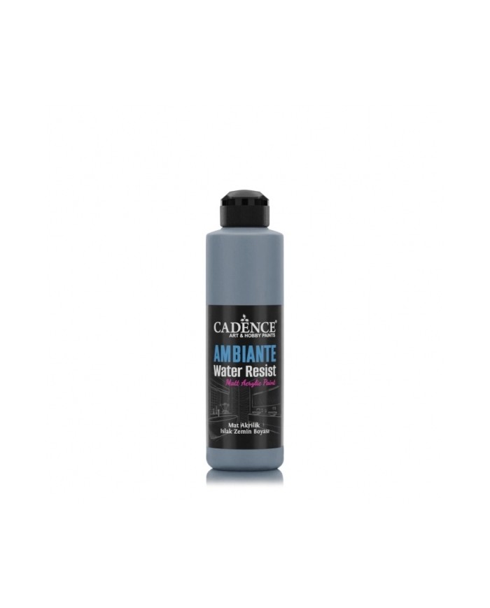 AW20 Koyu Arduvaz Gri Ambiante Islak Zemin Boyası 250ML + Katalizör 10GR