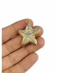 Deniz Yıldızı Kolye Bileklik Ucu Charm 1 Adet
