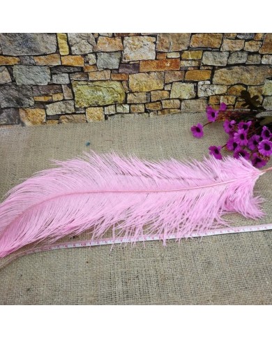 Tekli Kuş Tüyü Uzun - Pembe- 35/40 cm Tekli Kuş Tüyü Uzun - Pembe- 35/40 cm