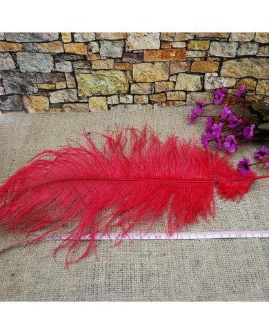 Tekli Kuş Tüyü Uzun - Kırmızı- 35/40 cm Tekli Kuş Tüyü Uzun - Kırmızı- 35/40 cm