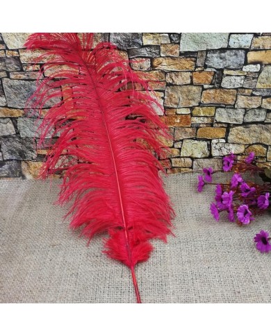 Tekli Kuş Tüyü Uzun - Kırmızı- 35/40 cm Tekli Kuş Tüyü Uzun - Kırmızı- 35/40 cm