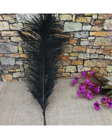 Tekli Kuş Tüyü Uzun - Siyah- 35/40 cm Tekli Kuş Tüyü Uzun - Siyah- 35/40 cm
