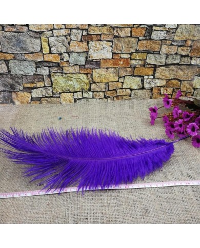 Tekli Kuş Tüyü Uzun - Mor- 35/40 cm Tekli Kuş Tüyü Uzun - Mor- 35/40 cm