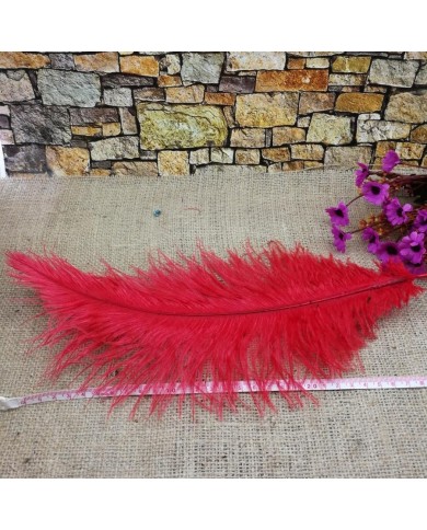 Tekli Kuş Tüyü Kısa - Kırmızı- 25/30 cm Tekli Kuş Tüyü Kısa - Kırmızı- 25/30 cm