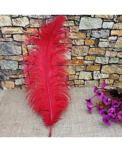 Tekli Kuş Tüyü Kısa - Kırmızı- 25/30 cm Tekli Kuş Tüyü Kısa - Kırmızı- 25/30 cm