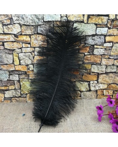 Tekli Kuş Tüyü Kısa - Siyah - 25/30 cm Tekli Kuş Tüyü Kısa - Siyah - 25/30 cm