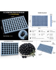 72'li 2cm Gerçekçi Zeytin Silikon Kalıbı - Salkım Sabun, Mum ve