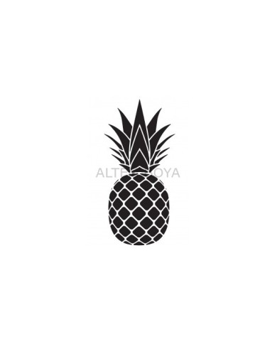 Ananas Stencıl A4 S-997