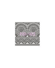 Home Decor (Duvar) Stencıl 45*45 cm HD-103