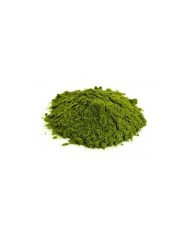 Mum Boyası Yeşil 5 Gram