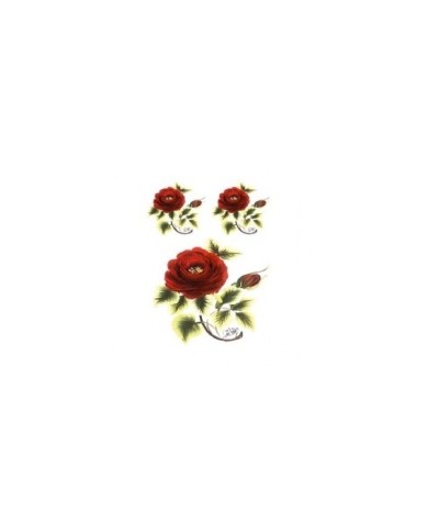 Gülsün Ülkü 17*25 G-07