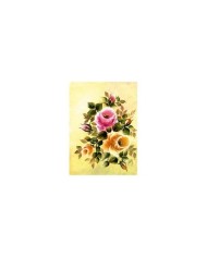 Gülsün Ülkü 17*25 G-12