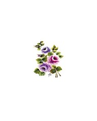 Gülsün Ülkü 17*25 G-14