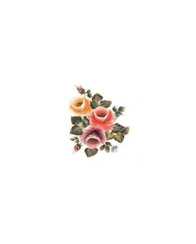 Gülsün Ülkü 17*25 G-17